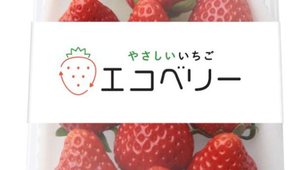 日本初！？カーボンニュートラル・オーガニック・化学農薬不使用・ 完全LED栽培で作られた【エコベリー】って？