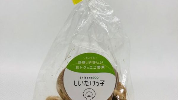 「椎茸×環境価値×廃棄課題」再生エネルギーで生産された SDGs菌床椎茸「しいたけっ子」を“100円／袋”で販売開始